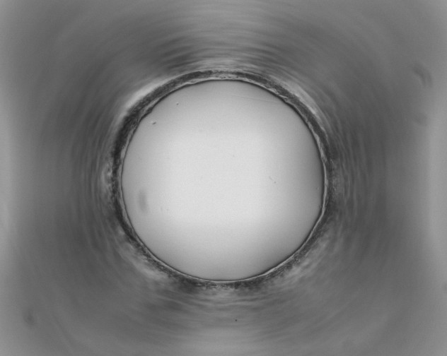 X0000112370971200909031928