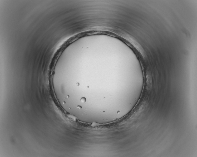 X0000112370972200909031928