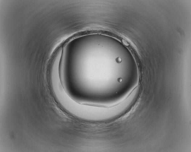 X0000112370973200909031928