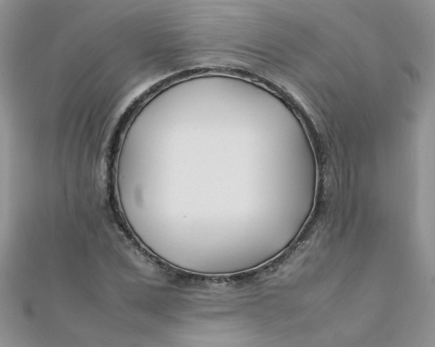 X0000112370975200909031928