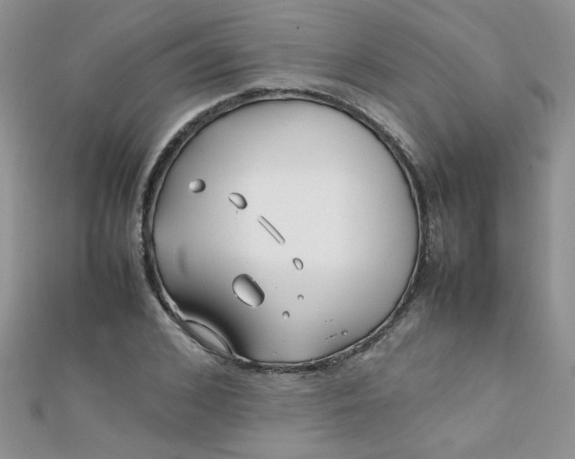 X0000112370976200909031928