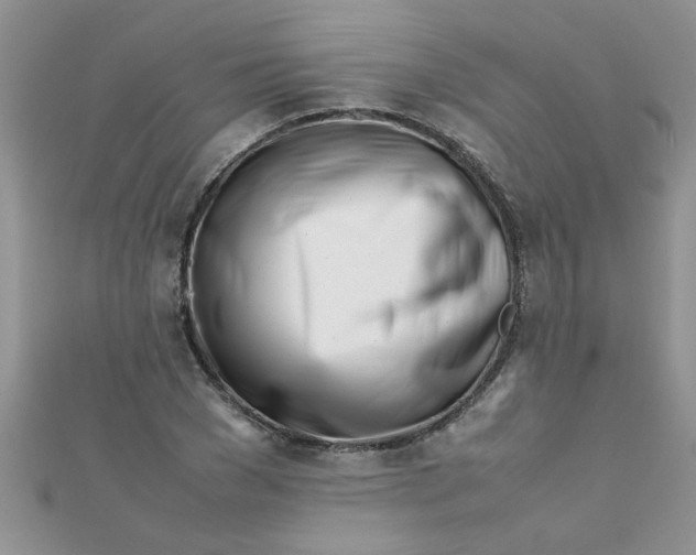 X0000112370977200909031928