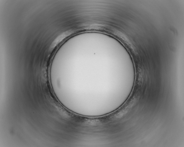 X0000112370978200909031928