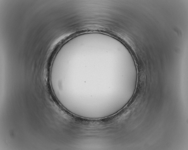 X0000112370979200909031928