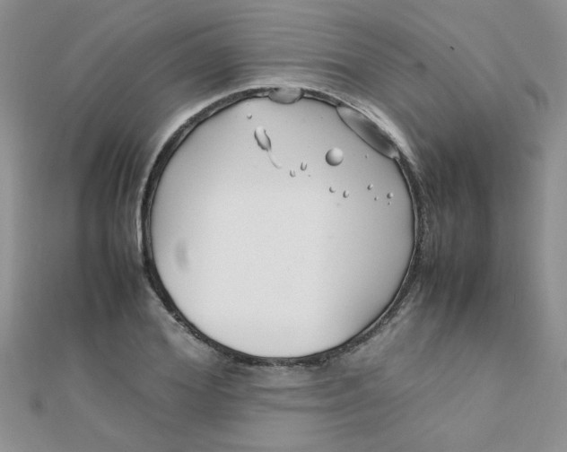 X0000112370980200909031928