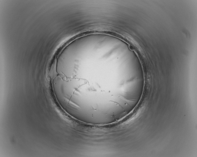 X0000112370981200909031928