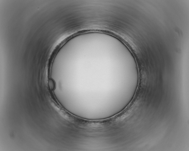 X0000112370982200909031928