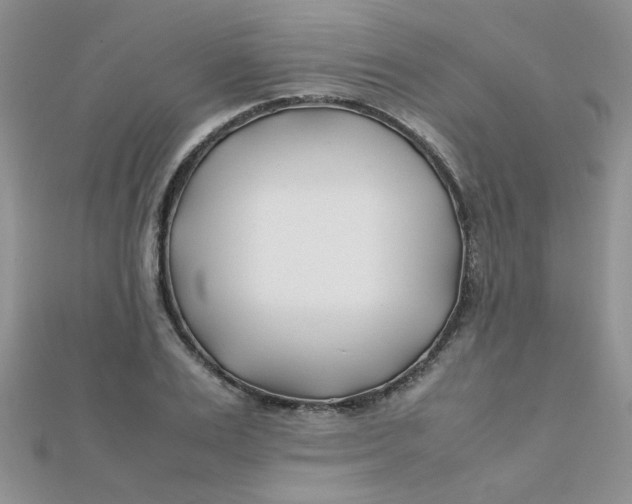 X0000112370983200909031928