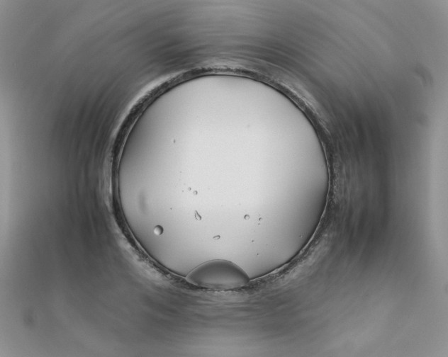 X0000112370984200909031928