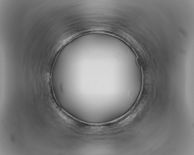 X0000112370985200909031928