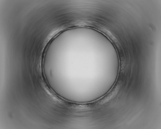 X0000112370986200909031928