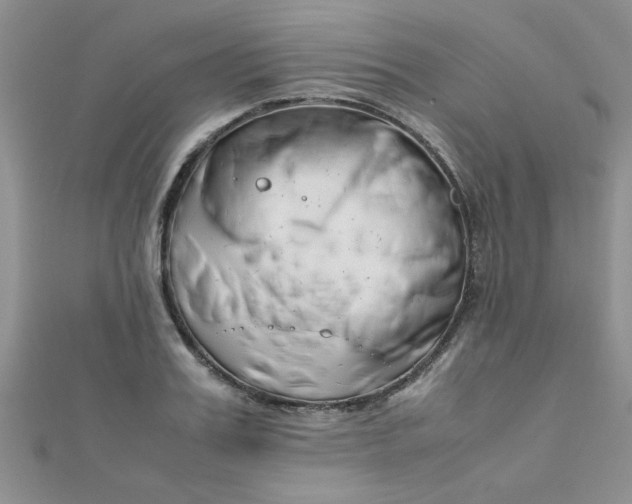 X0000112370987200909031928