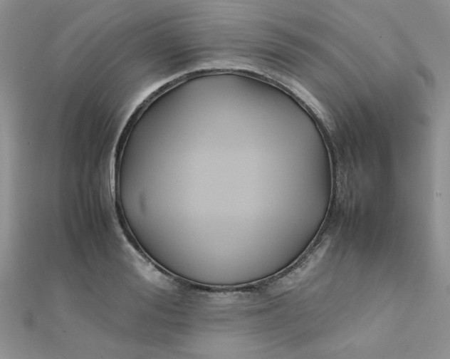 X0000112370988200909031928