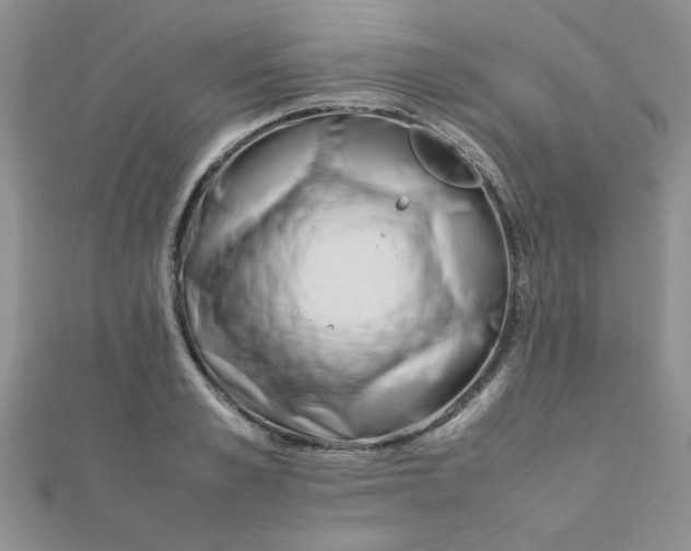 X0000112370989200909031928