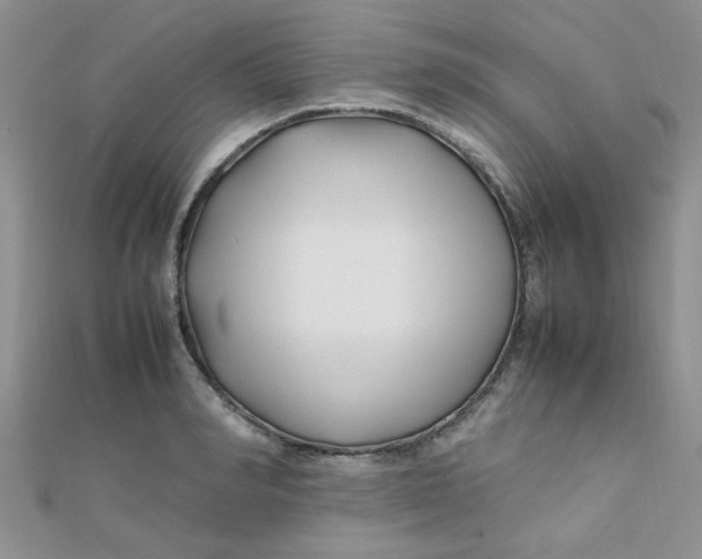 X0000112370990200909031928