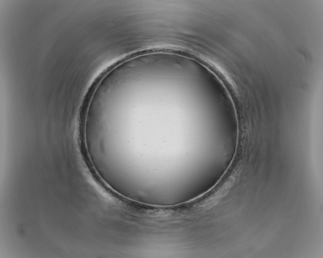 X0000112370991200909031927