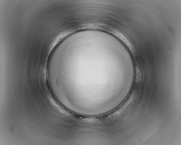 X0000112370994200909031927