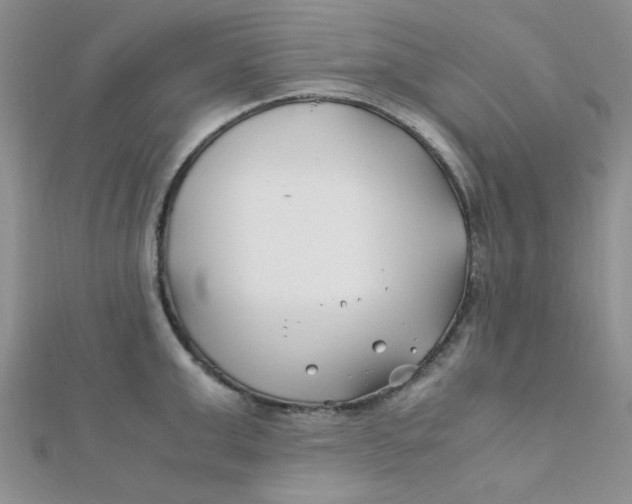 X0000112370999200909031927