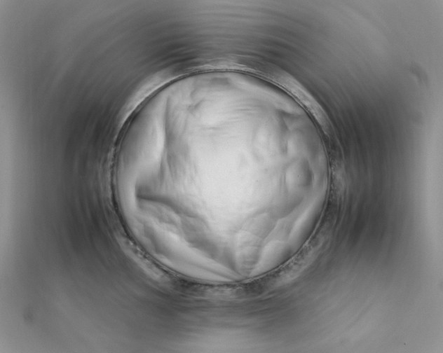 X0000112371002200909031927