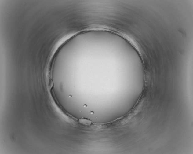 X0000112371003200909031927