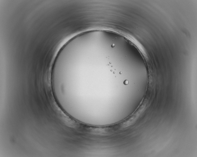 X0000112371004200909031927