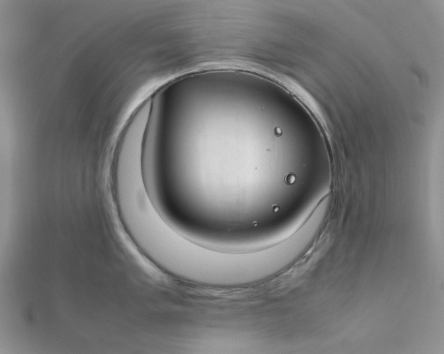 X0000112371005200909031927