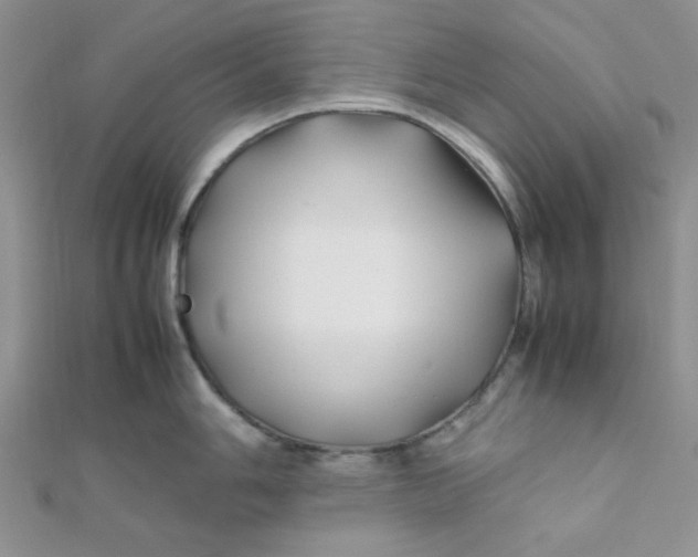 X0000112371006200909031927