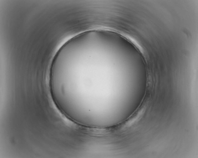 X0000112371007200909031927