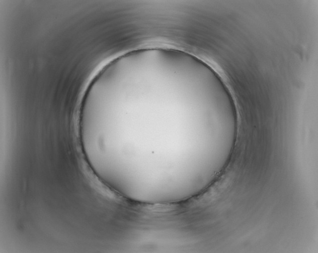 X0000112371008200909031927