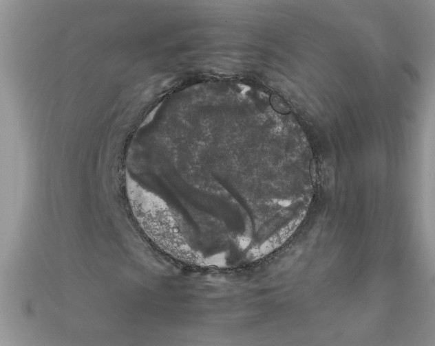 X0000112371009200909031927