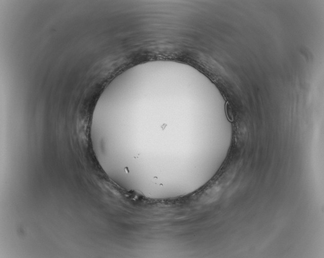 X0000112371010200909031927