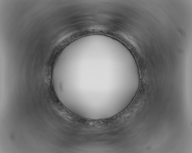 X0000112371015200909031927