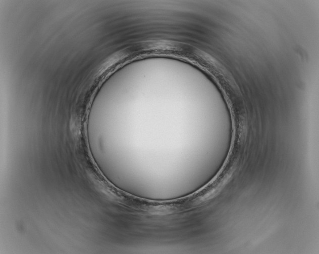 X0000112371017200909031927