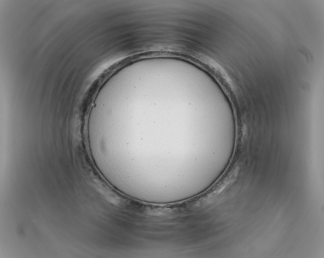 X0000112371019200909031927