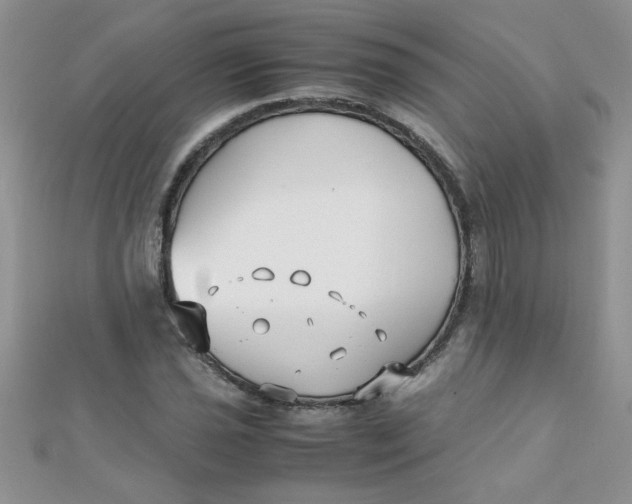 X0000112371021200909031927