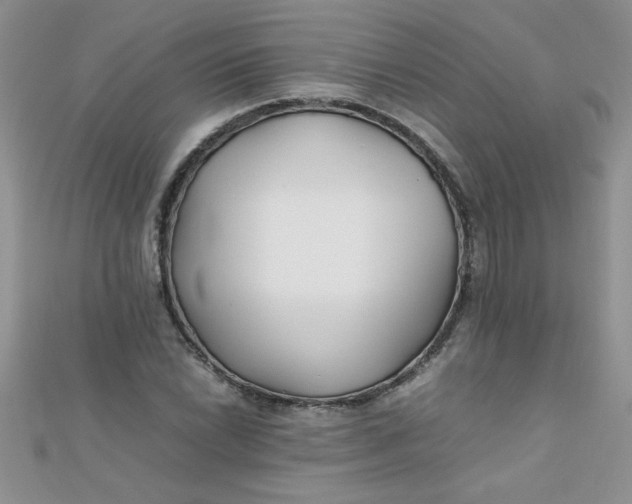 X0000112371022200909031927