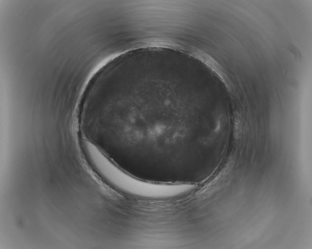 X0000112371024200909031927