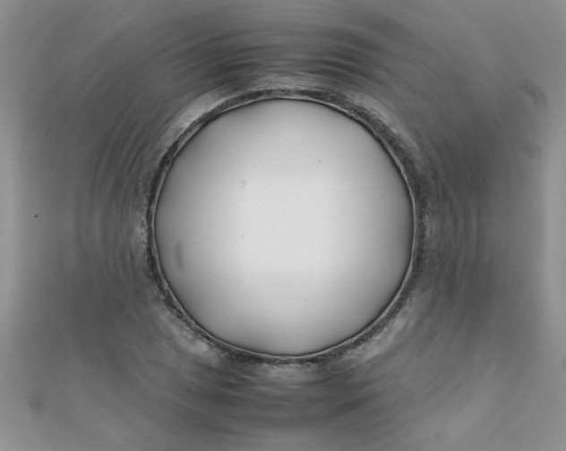 X0000112371025200909031927