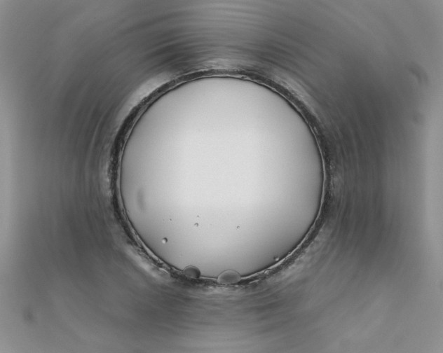 X0000112371026200909031927