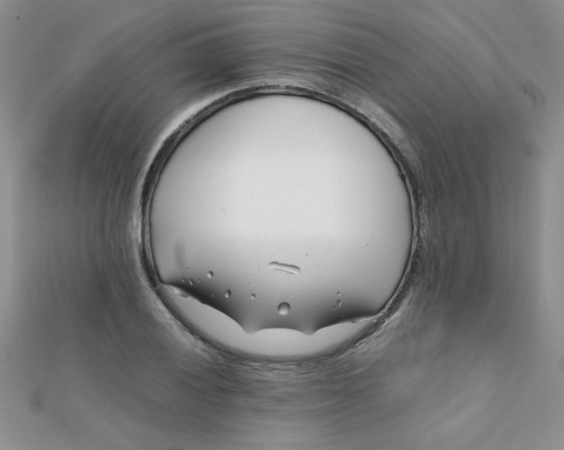 X0000112371028200909031927