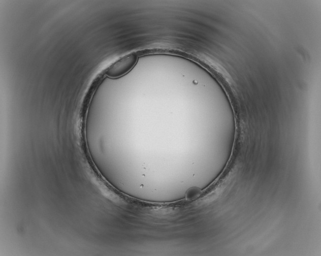 X0000112371029200909031927