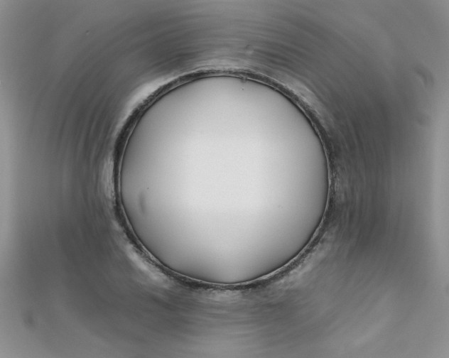 X0000112371030200909031927