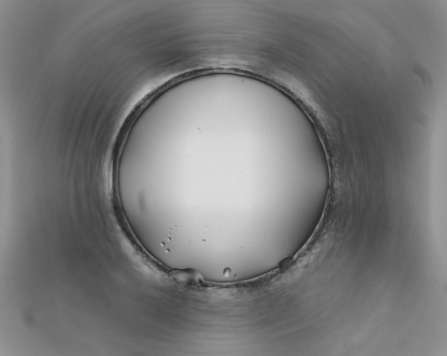 X0000112371032200909031927