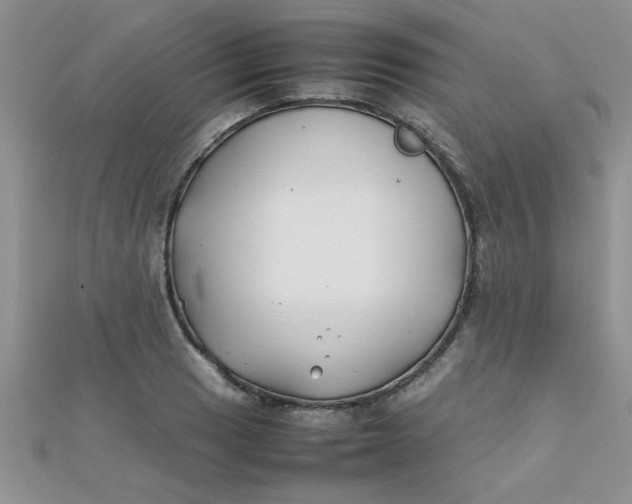 X0000112371033200909031927