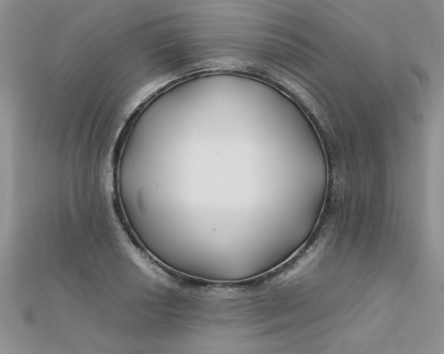 X0000112371034200909031927