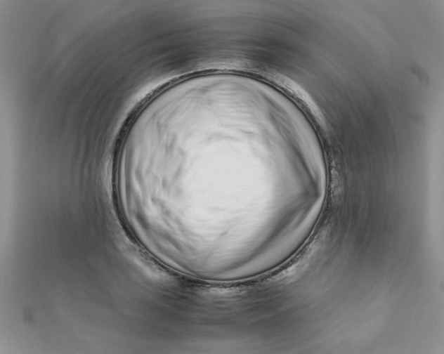 X0000112371035200909031927