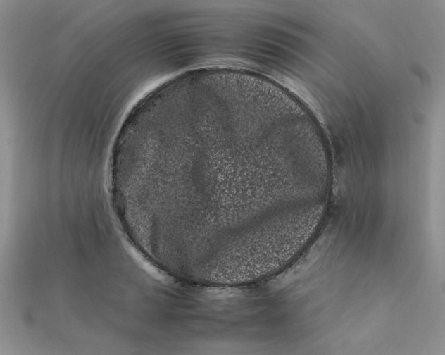 X0000112371037200909031927