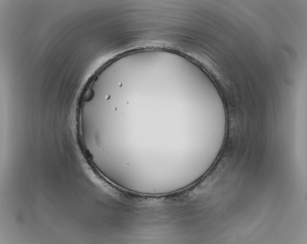 X0000112371038200909031927