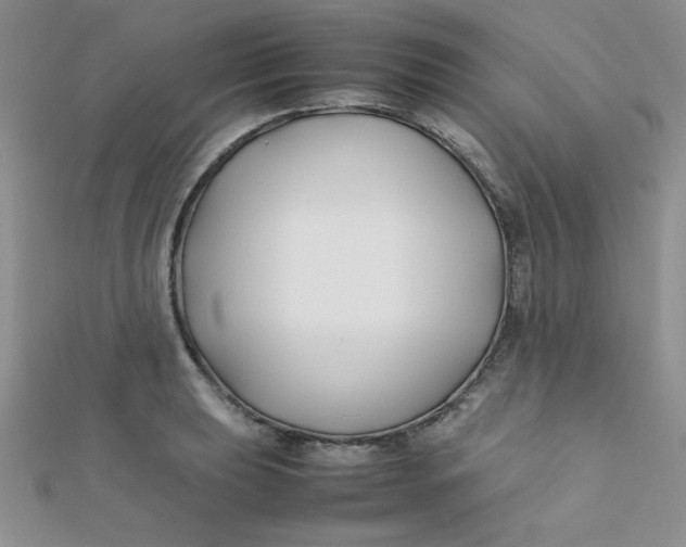 X0000112371039200909031927