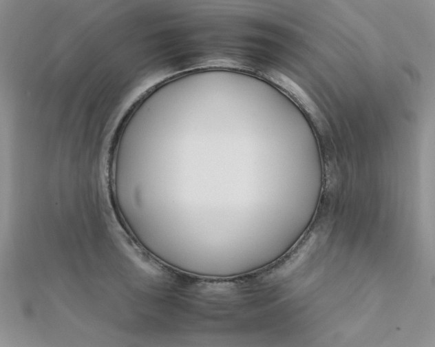 X0000112371043200909031927